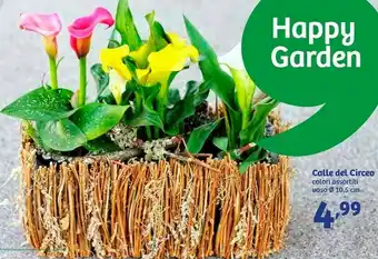 In'S Mercato Happy garden Piante offerta
