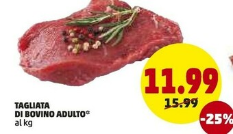 PENNY Carne offerta