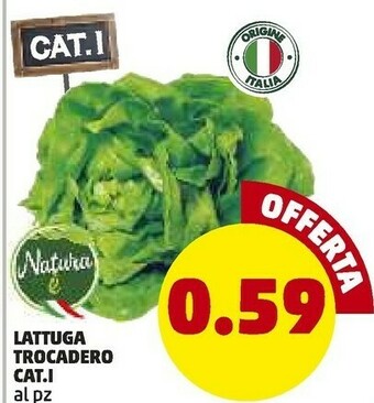 Natura E Lattuga Trocadero