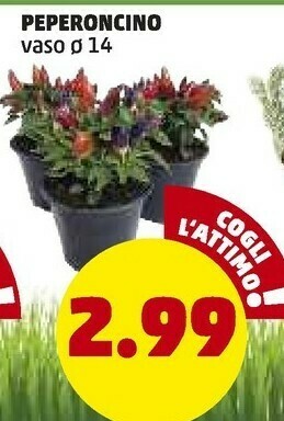 PENNY Penny Market Peperoncino offerta