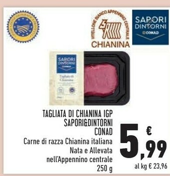 Conad Superstore Sapori Hamburger offerta