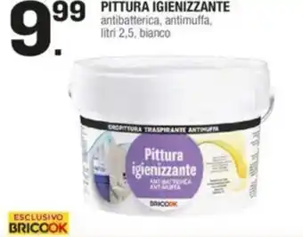 Bricook Pittura Igienizzante Antibatterica, Antimuffa Litri 2,5