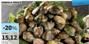 Ipercoop Vongole verace offerta