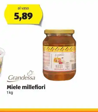 ALDI Miele millefiori grandessa 1 kg offerta