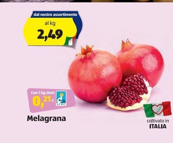 ALDI Melagrana offerta