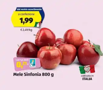 ALDI Mele sidonia 800 g offerta