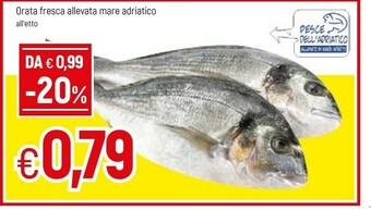 Famila Orata offerta