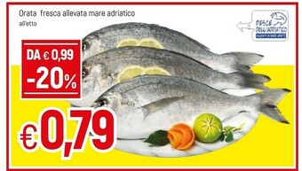 Famila Orata offerta