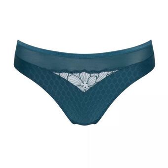 Triumph Azalea florale offerta