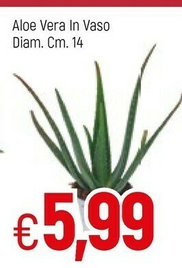 Famila Vera Piante offerta