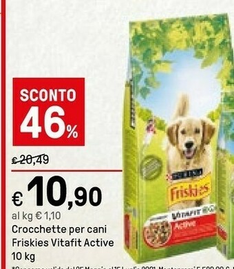 Iper La Grande Friskies Cibo per cani offerta