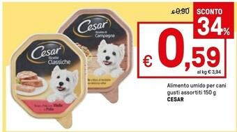 Cesar Cibo per cani
