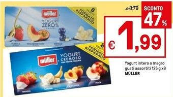 Iper La Grande Muller Yogurt offerta