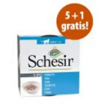 Zooplus 5 + 1 gratis! 6 x 85 g schesir in gelatina offerta