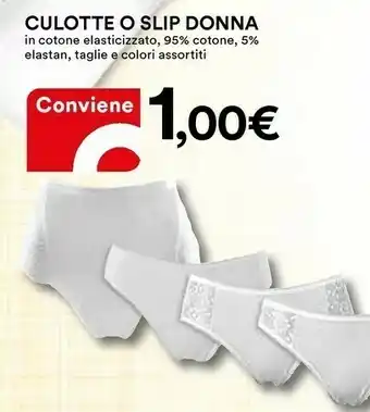 Coop Culotte O Slip Donna offerta