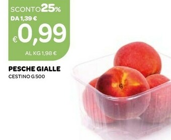Ekom Pesche offerta