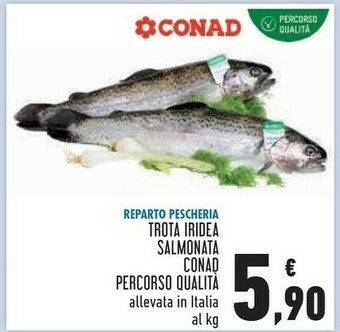 Conad Superstore Trota offerta