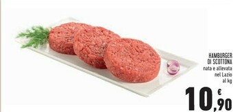 Conad Superstore Hamburger offerta