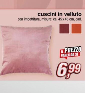 Cuscini in velluto