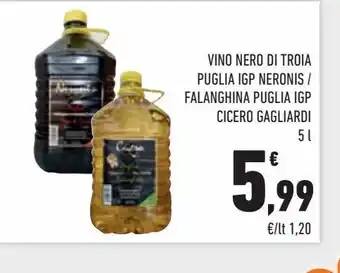 Vino nero di troia puglia  i.g.t. 5 l