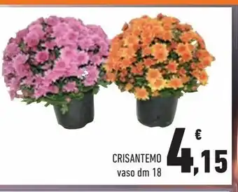 Conad City Crisantemo vaso d m18 offerta