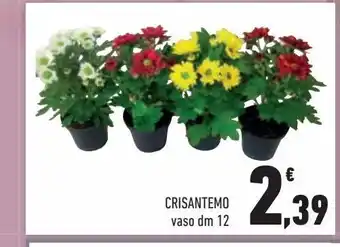 Conad City Crisantemo vaso dm 12 offerta