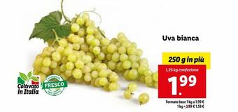 Lidl Uva bianca offerta