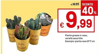 Iper La Grande Piante offerta