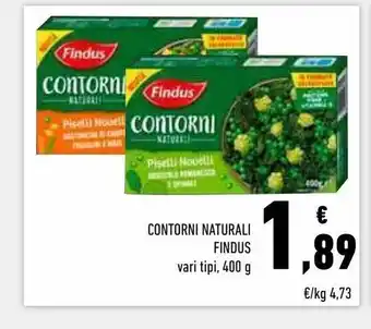 Conad Superstore Contorni naturali findus offerta