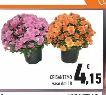 Conad Superstore Crisantemo vaso d m18 offerta