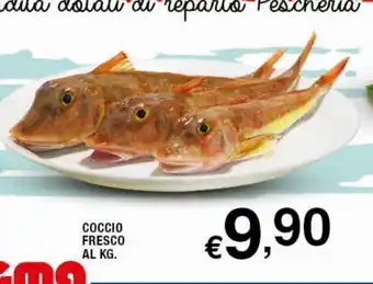 Sigma Superstore Coccio Fresco Al Kg offerta
