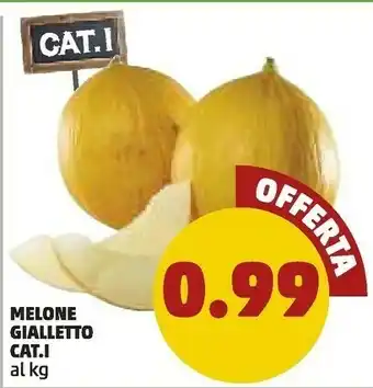 PENNY Penny Melone Gialletto offerta