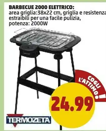PENNY Termozeta Barbecue offerta