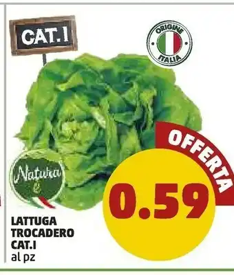 PENNY Natura E Lattuga Trocadero offerta