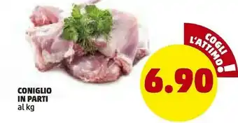 PENNY Penny Market Coniglio In Parti offerta