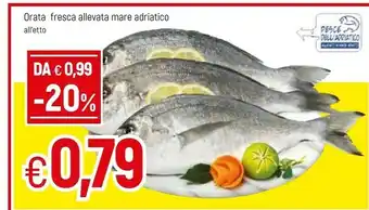 Famila Dell Orata offerta