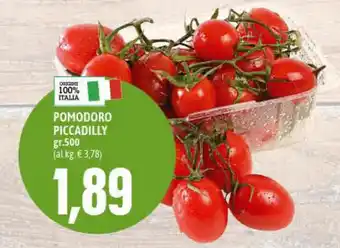 Pomodoro Piccadilly gr.500