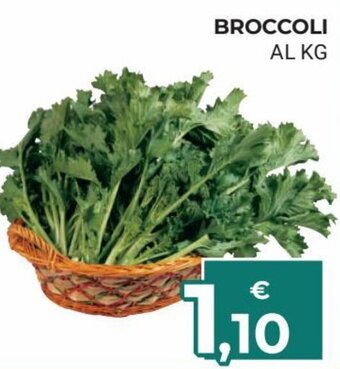 Eté Broccoli offerta