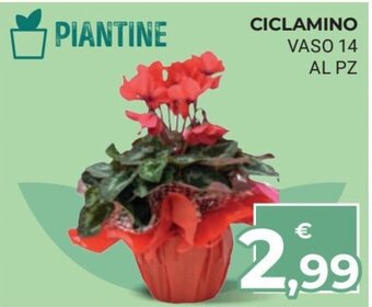 Eté Ciclamino Vaso 14 offerta