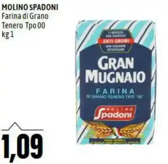 Molino Spadoni Farina di Grano Tenero TPO 00 kg 1