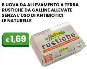 Gala Supermercati Le Naturelle 6 Uovo Da Allevamento A Terra Rustiche Da Galline Allevate Senza L'Uso di Antibiotici offerta