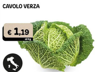 Gala Supermercati Cavolo Verza offerta