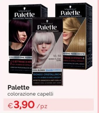 Prodet Palette Colorazione Capelli offerta