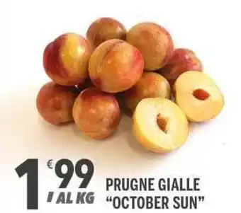 Prugne Gialle "October Sun"
