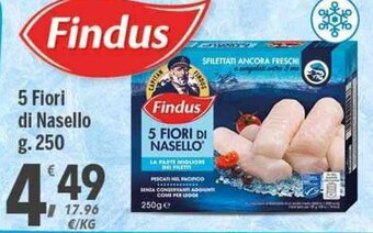 Supermercati Dok Findus 5 Fiori di Nasello g. 250 offerta