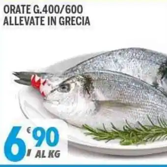 Supermercati Dok Orate g. 400/600 Allevate in Grecia offerta