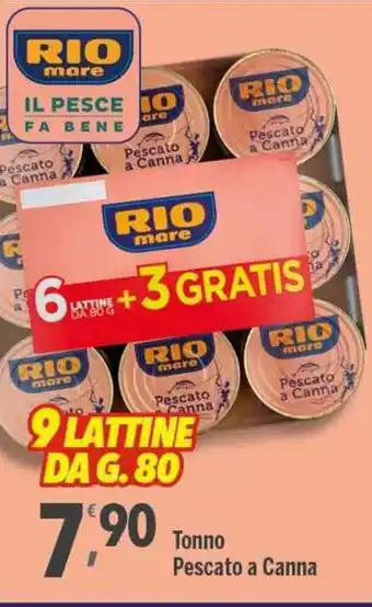 Supermercati Dok Rio Mare Tonno Pescato a Canna 9 Lattine da g. 80 offerta