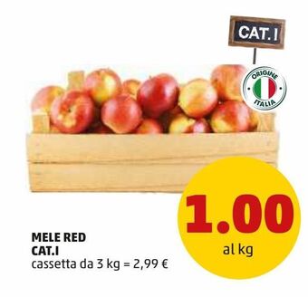 PENNY Mele red cat.i offerta