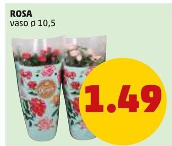 PENNY Rosa offerta