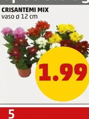 PENNY Crisantemi mix offerta